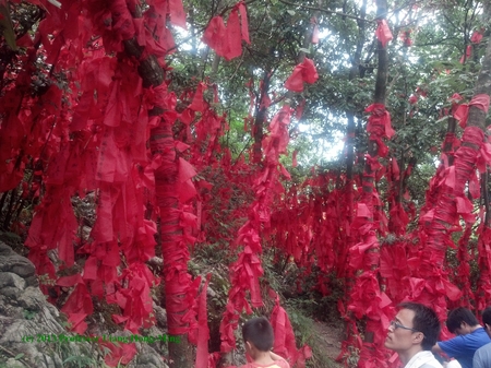 Traveling to Guilin and Zhangjiajie, Tianjin, China-- The North Star Project, Summer Report Number Thirty -- The Middle Ground Journal