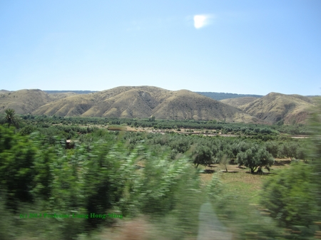 The Sahara Desert, Semester at Sea -- The North Star Project, Summer Report Number Thirty-Nine -- The Middle Ground Journal