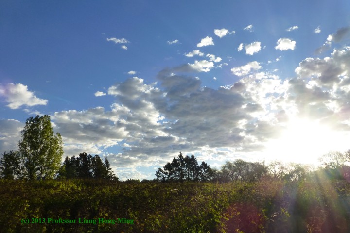 L1040264u-720x480