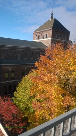 wp_20141009_009u