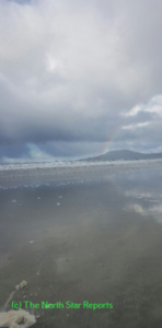 victoriahone1
